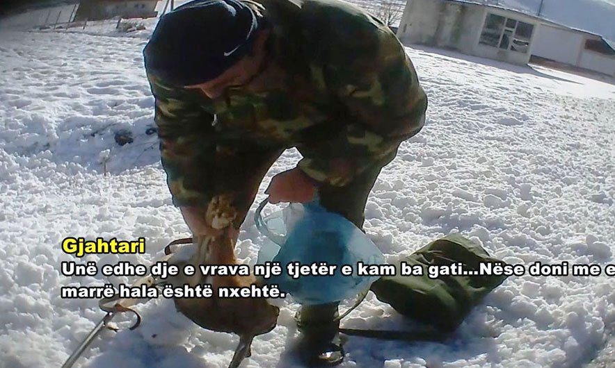 PPNEA's tweet image. Fiks Fare TV show broadcasted different cases of illegal hunting. The aim of hunting ban in Albania until 2021 was the improvement of the legal framework for hunting management, by building as system that will help hunting management.  goo.gl/hFCBFe   #illegalhunting