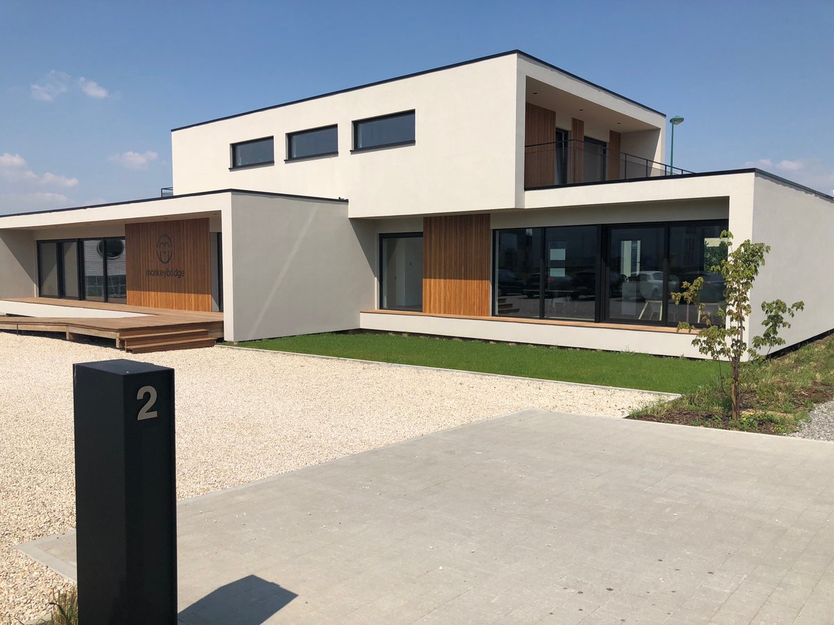 Monkey Bridge tweet media