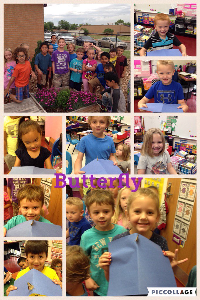 kinderharl's tweet photo. Release of Butterflies!!
#nes123. #cpsreds https://t.co/GHsGMyBLYr