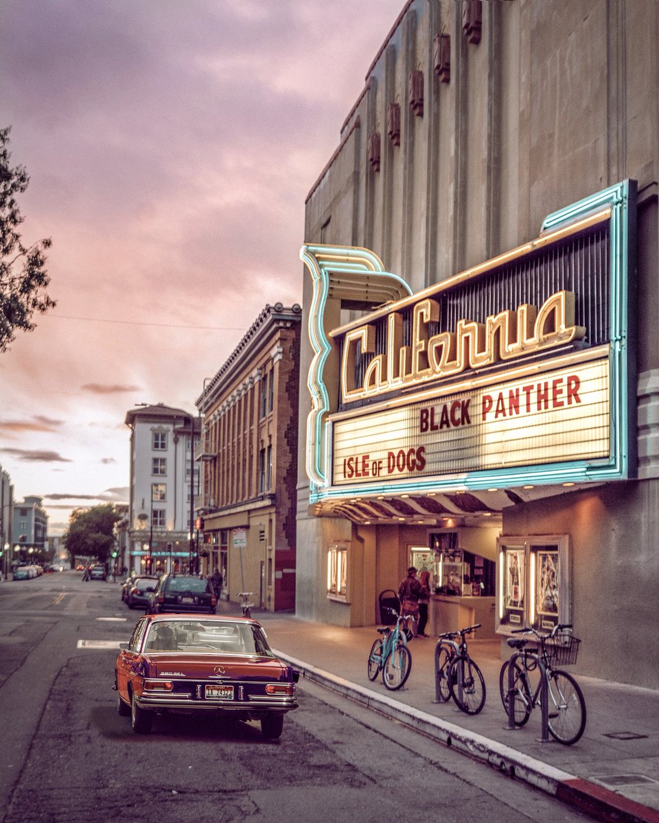 Diana De Lorenzi tweet media