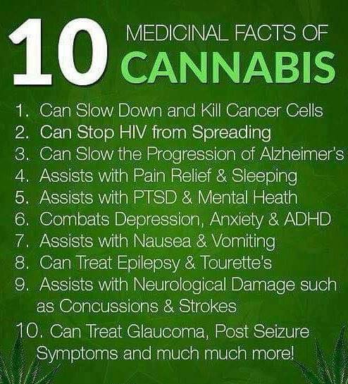 KayaShack's tweet photo. "Interesting and amazing what the experts are saying can be treated with the wonder plant #cannabis" #MedicalMarijuana #medicalcannabis #marijuananews @getcannabiscare , @CannabisCulture, @CancerandCannabis @MarijuanaOR @alzassociation @epilepsysociety #adhd https://t.co/zbYeO6KwDX