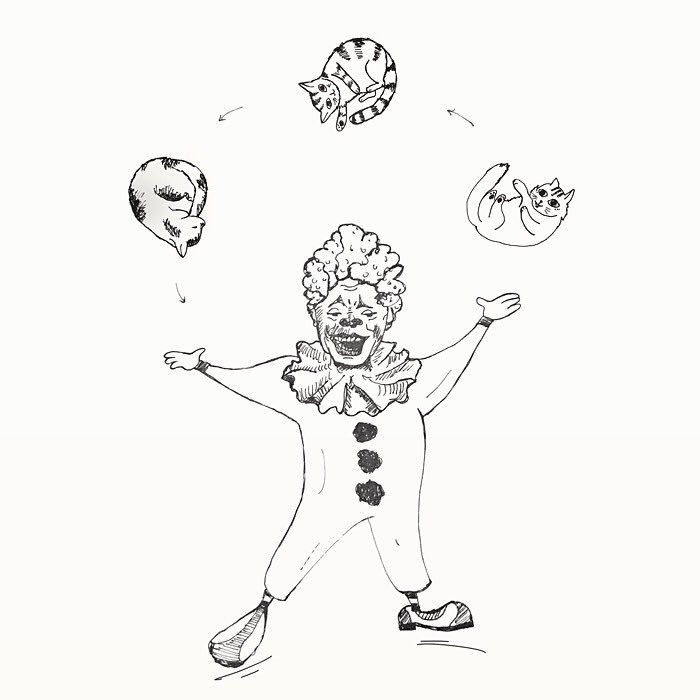 paperwerewolves's tweet photo. creepy AND cute #catjuggling #clowns #circuslife #cats https://t.co/glx62lvCDi