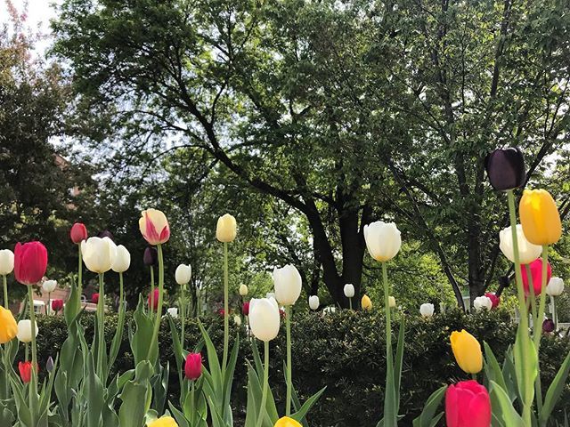 Gorgeous day for a walk. ift.tt/2wKREG2