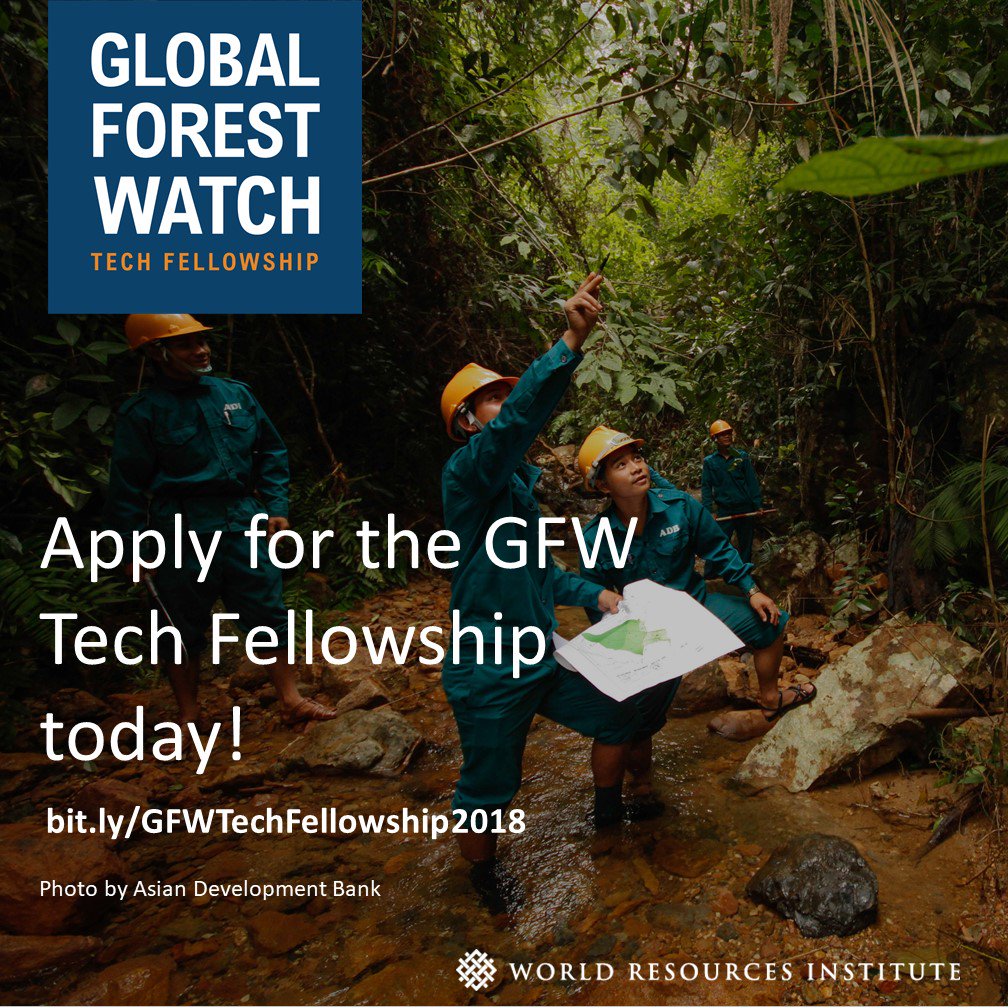 globalforests's tweet photo. Are you passionate about technology and #conservation? Learn more about the #GFWTechFellowship https://t.co/xxOxYoDIKQ https://t.co/LCPclfFTXZ