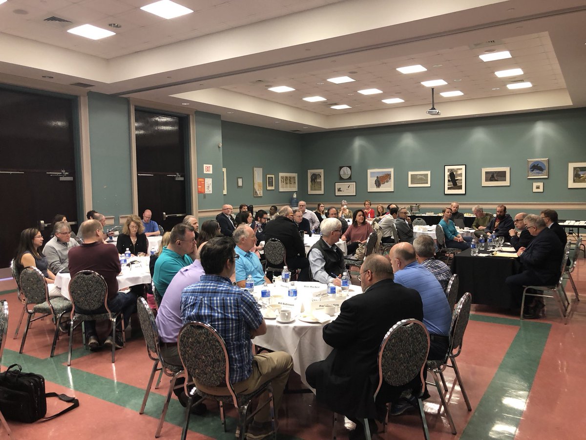 download die höheren pilze basidiomycetes 1911