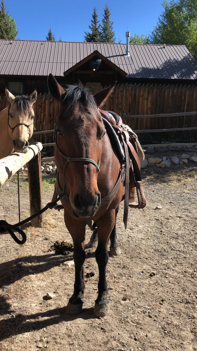 Riding Arrow this morning