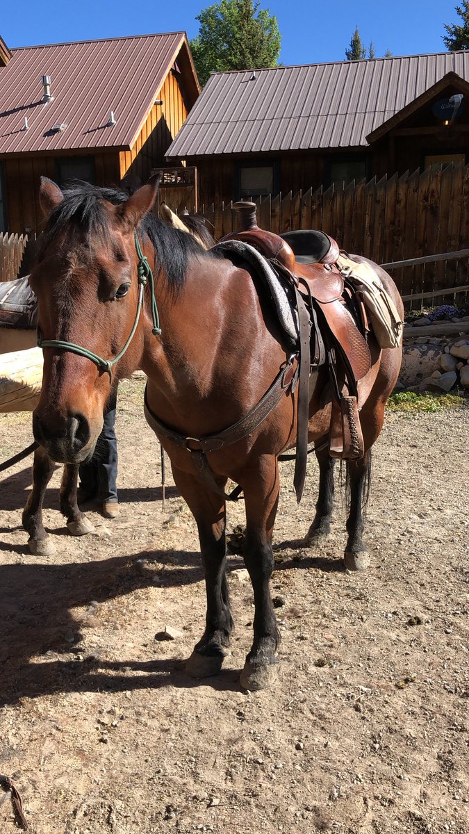 Riding Arrow this morning