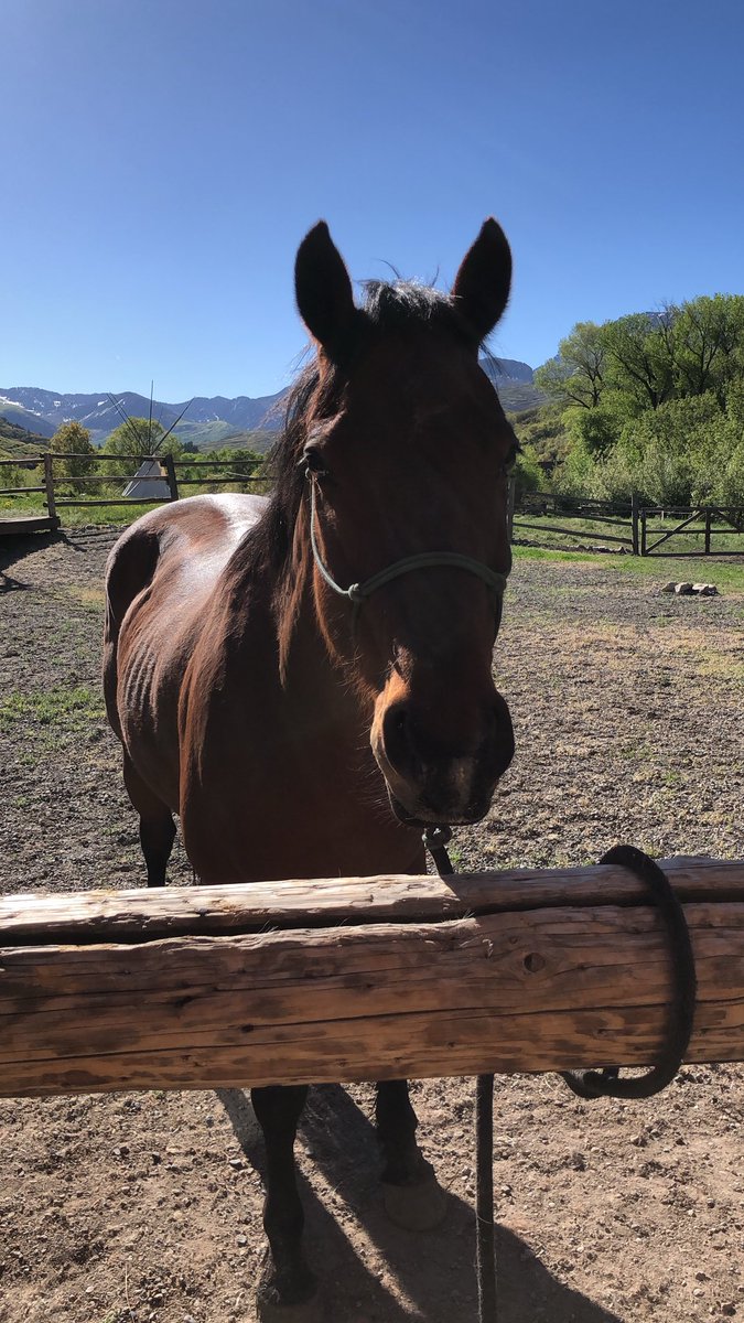 Riding Arrow this morning