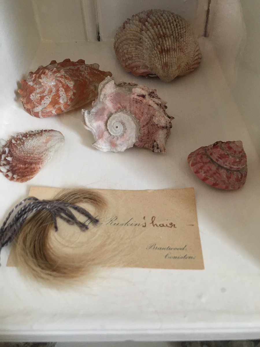 ericadrawing's tweet photo. More #inspiration from #brantwood #johnruskin What a collector! https://t.co/rsdNfG1N66