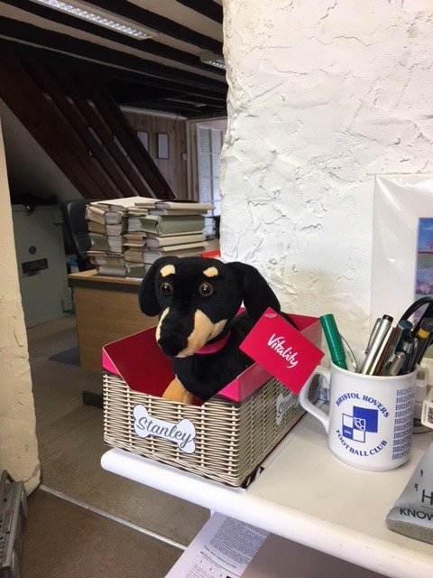 NailseaFS's tweet photo. #StanleyAtWork 
Thank you @Vitality_UK our new team member https://t.co/vPVrPpeypA