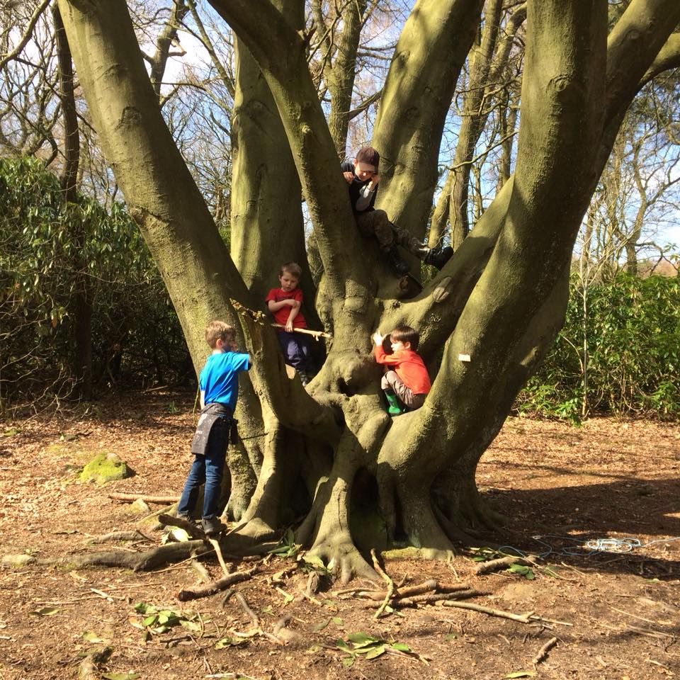 We still have places available at our #holiday #forestschools during May #halfterm - take a look at our website bit.ly/2FxKqsn

<a href="/ShipleyMums/">Shipley Mums</a> <a href="/MoorMums/">MoorMums</a> <a href="/IlkleyChat/">Ilkley Chat</a> <a href="/IlkleyMums/">Ilkley Mums</a> <a href="/HarrogateMama/">Harrogate Mama</a> <a href="/hgatemumbler/">Harrogate Mumbler</a> <a href="/YorkshireTots/">Yorkshire Tots to Teens | Yorkshire Family Fun</a> <a href="/yorkmumbler/">York Mumbler</a> <a href="/NLeedsMumbler/">North Leeds Mumbler</a>