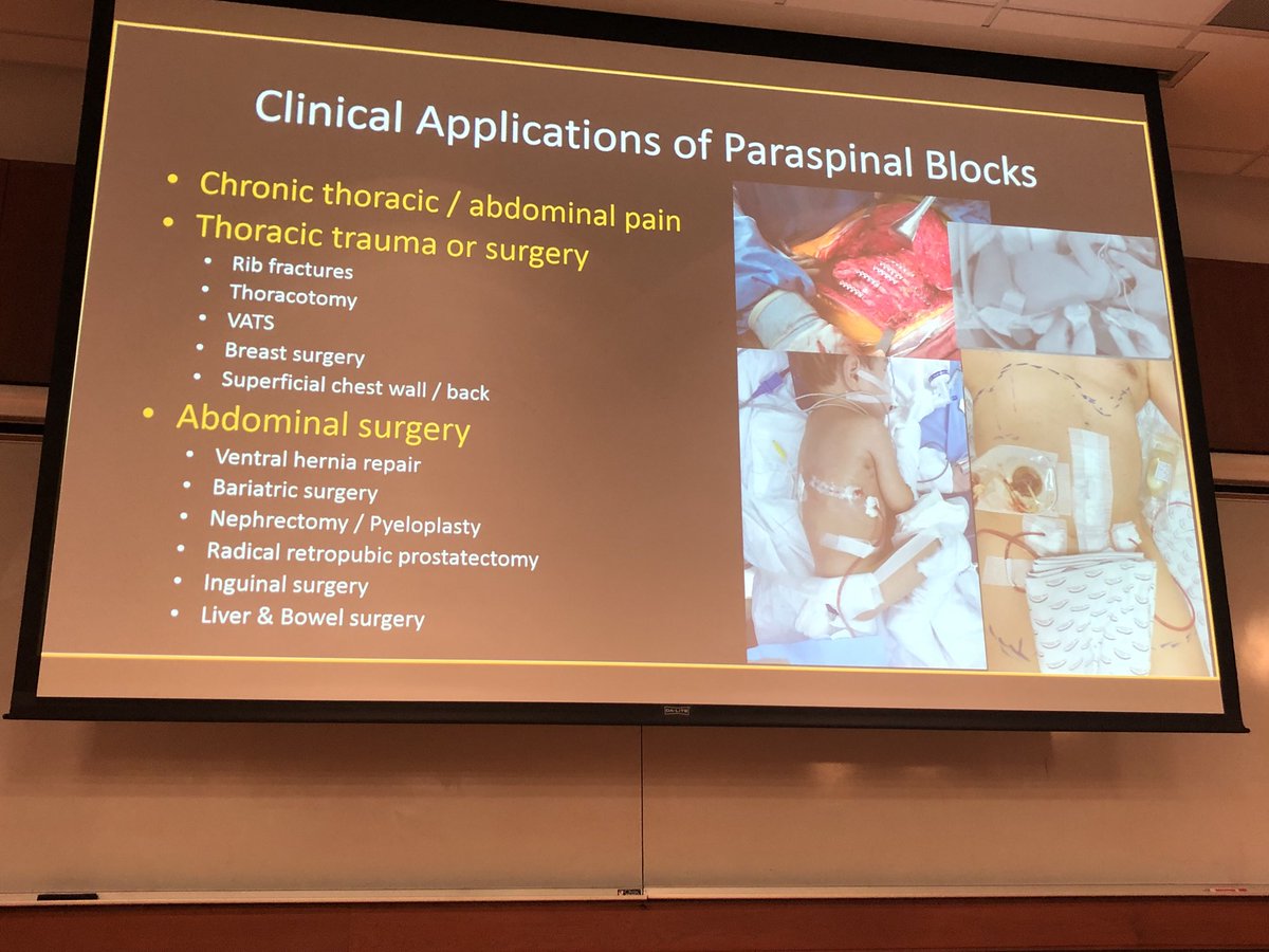 Monika Nanda tweet media