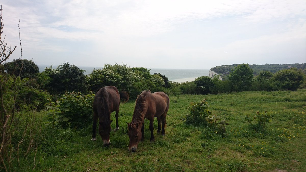 SCPS Year 4 tweet media