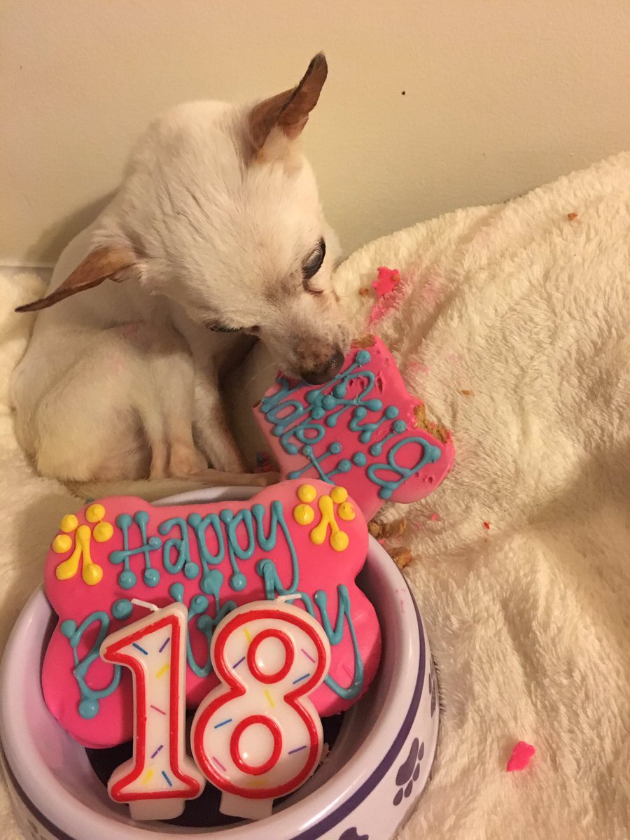 KiMeBiCandles's tweet photo. Happy 18th Birthday, Kita!!!! https://t.co/Bzr0CjSi0U