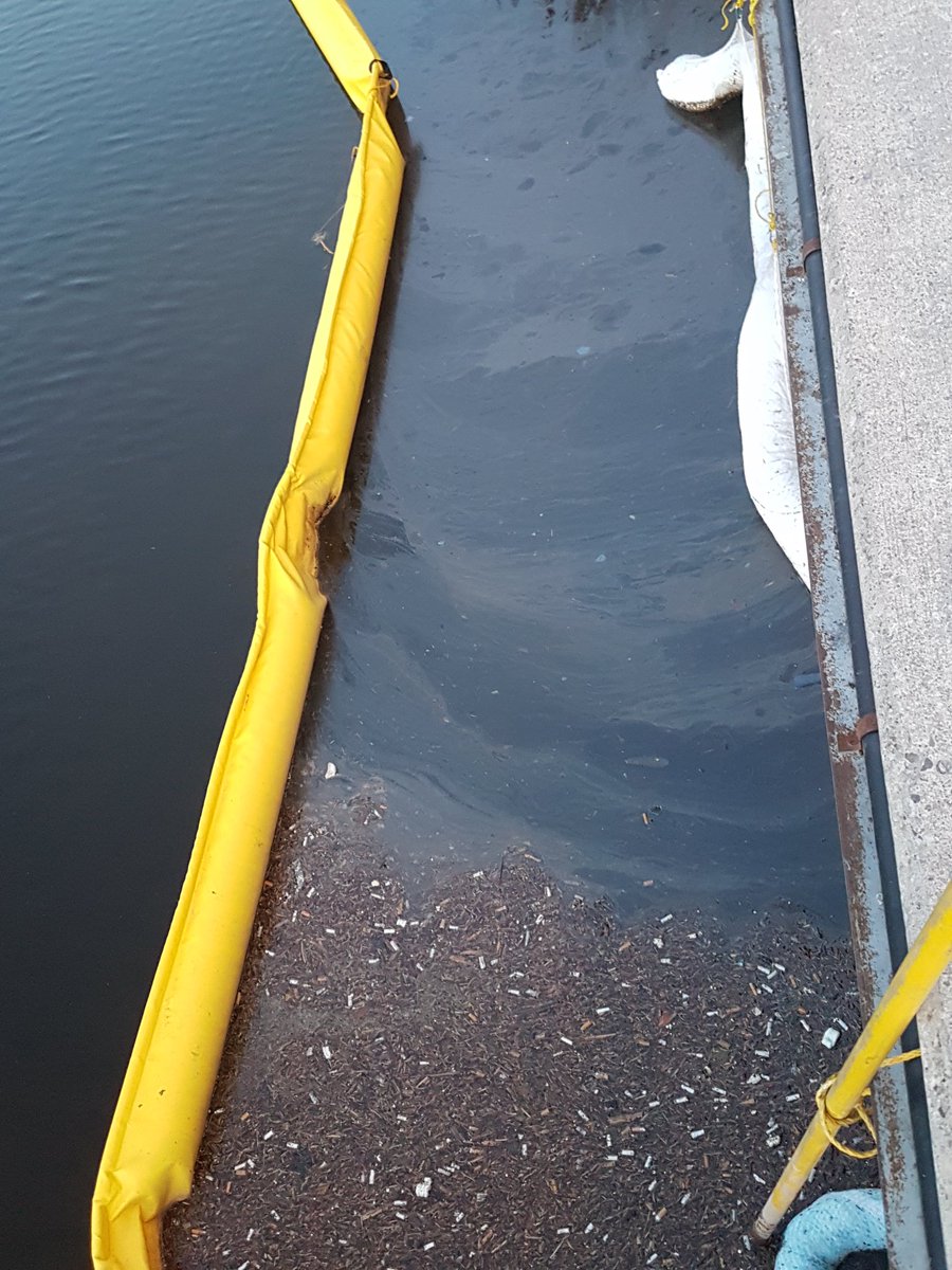 Free__spirited2's tweet photo. Whose job was this?
#ptbo #DelCraryPark #EnviroFail #MayorBennett #KawarthaNow #NailedIt https://t.co/SjHu4OFE4j
