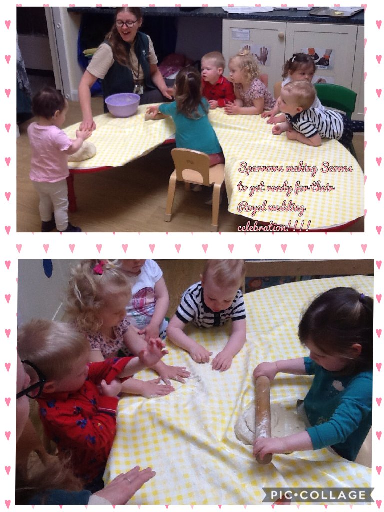 fledglings40's tweet photo. Sparrows making Scones to get ready for their Royal wedding celebration!!!! #piccol https://t.co/p3yTBTfepi https://t.co/2aWiDuZ4wC