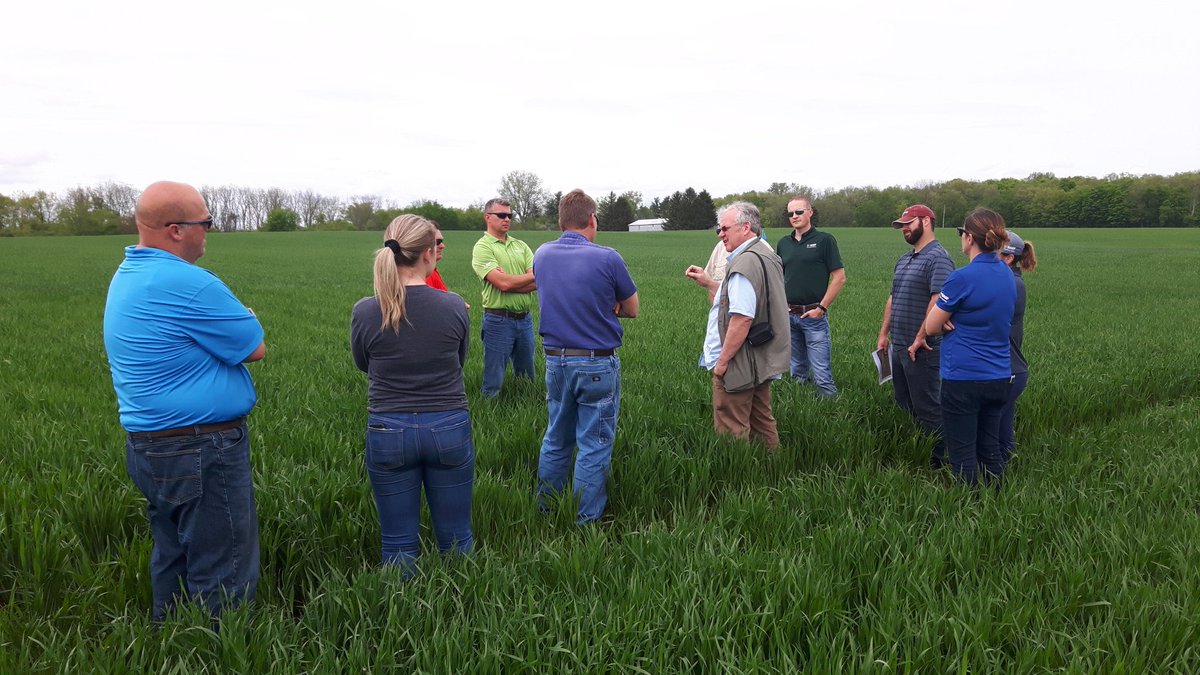 Checking out our American tramline trials in Michigan. Big N fert effects #maxwheatyield #agronomics <a href="/ADASGroup/">ADAS</a> <a href="/BASF/">BASF</a>