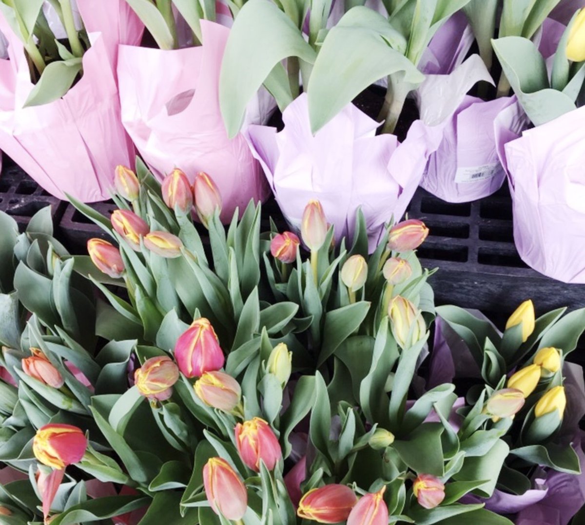 BLIBuzz's tweet photo. Gloomy weather got you down? Brighten up your space with a floral arrangement. Treat yourself every once in a while! Tap the link to find out more about our work space vibes. #officestyle https://t.co/sT3kEzElMI