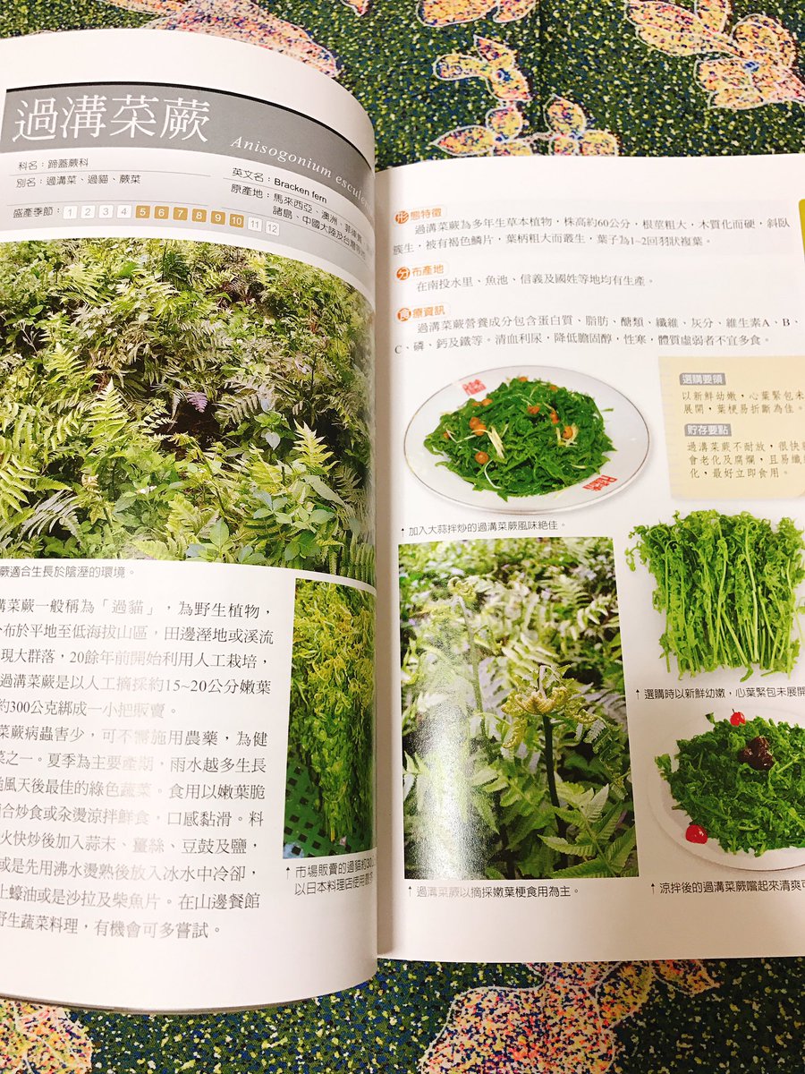 谷口 菜津子 Twitter ನಲ ಲ 台湾で買った本 台湾の野菜図鑑 マレーシア行った時も思ったけど 朝市には謎の野菜がいっぱいあって 形だけ覚えててもネットじゃ調べられないことに気づいて探した 炒める葉野菜が豊富で 筍もたくさん種類がある サラダ向き 谷口 菜津子 Twitter ನಲ ಲ 台湾で買った本 台湾の野菜図鑑 マレーシア行った時も思ったけど 朝市には謎の野菜がいっぱいあって 形だけ覚えててもネットじゃ調べられないことに気づいて探した 炒める葉野菜が豊富で 筍もたくさん種類がある サラダ向き