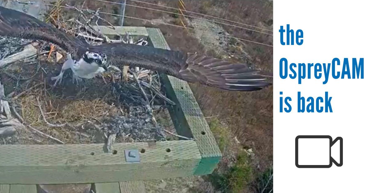 Newfoundland Power tweet media