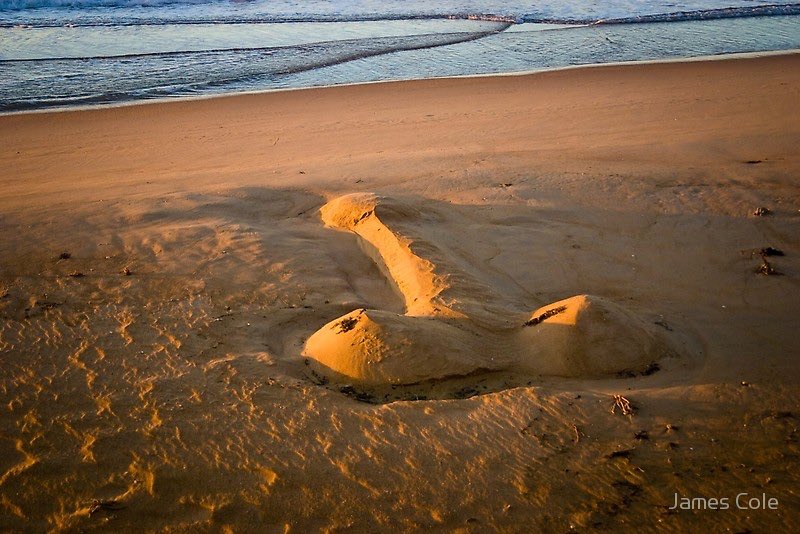 POLLARENA
#VisitBelgium