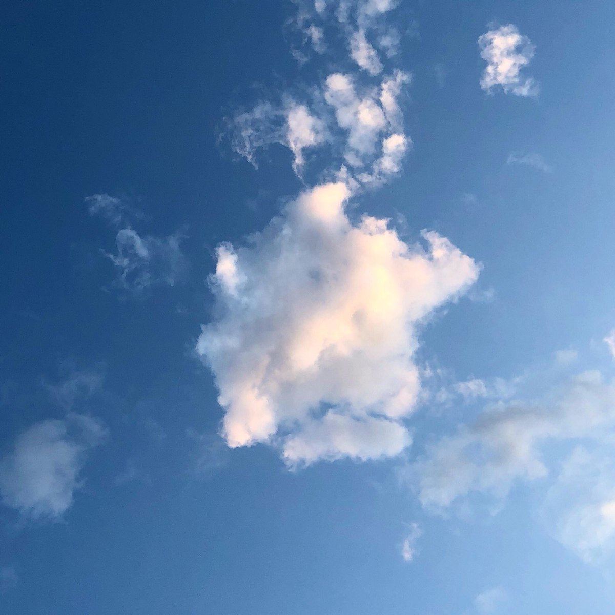 DinaKupfer's tweet image. Ready... GO!! #cloudgame