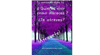 astroemociones tweet media