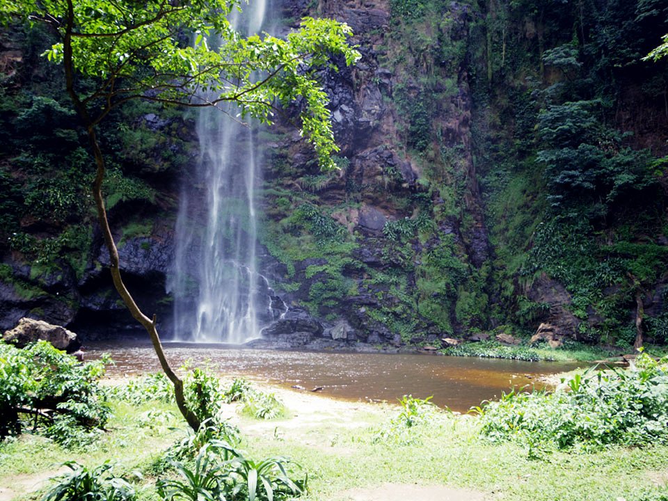 TourGhana2's tweet image. Amedzofe is a settlement north of Ho in the mountainous region of the Ho in the Volta Region of Ghana. It is presently located in the Newly Created Ho-West District Assembly. Amedzofe is a settlement in the mountains, and can boast of four natural gifts:#tourghana #AFRICAN #GHANA