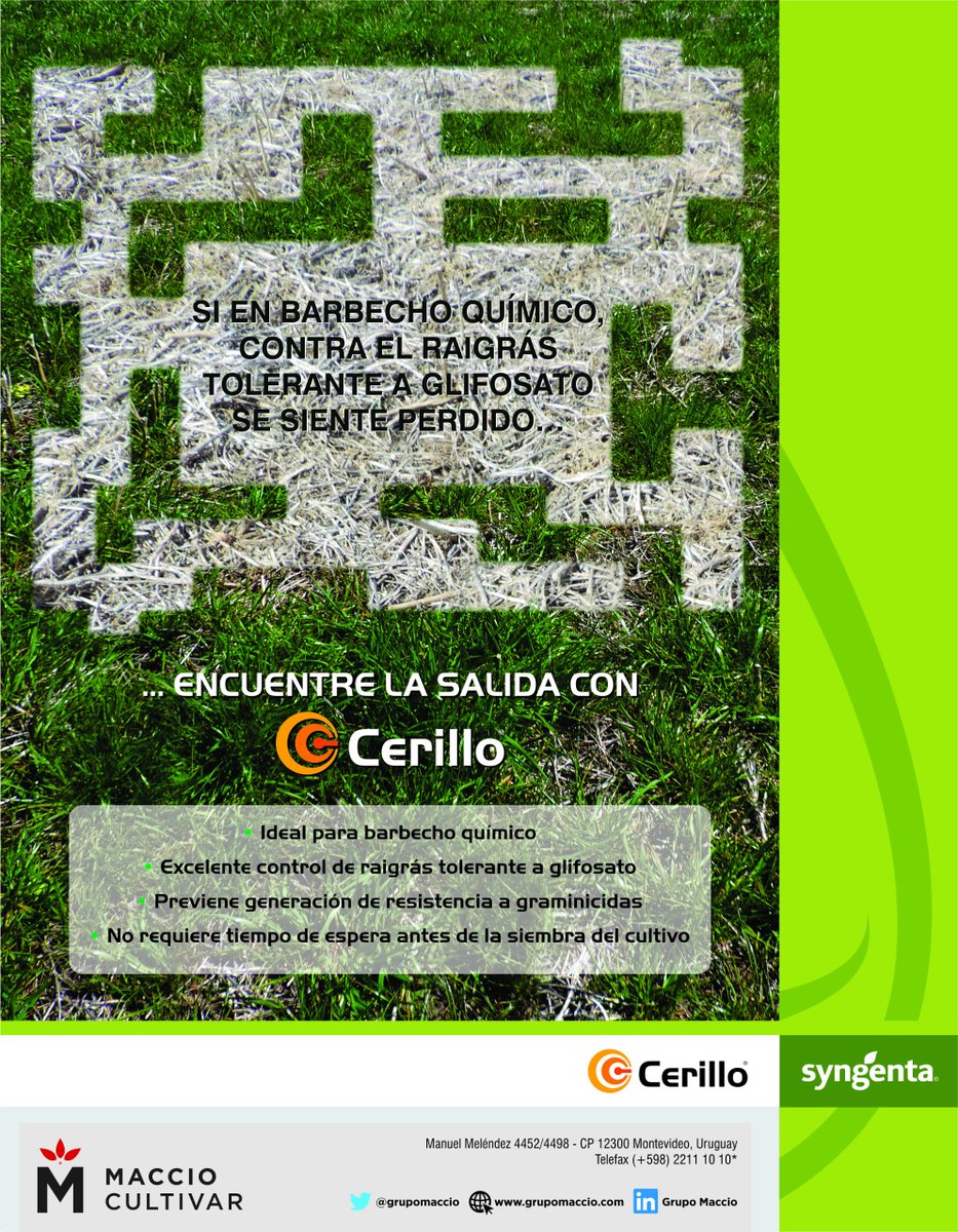 macciocultivar's tweet photo. Para controlar tus raigrases resistentes tenés una sola alternativa 🔥 👇👇👇 https://t.co/m4gsvAJsfC