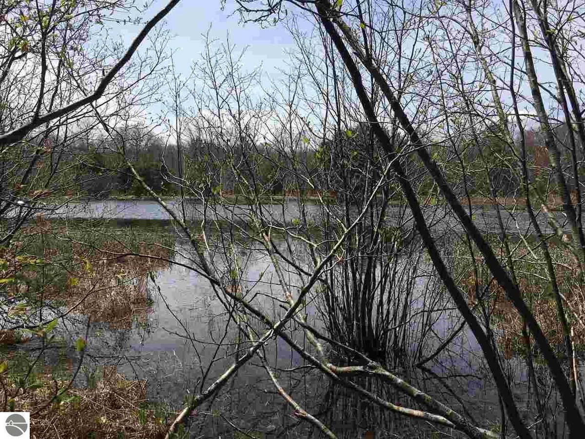 EXITNorthern's tweet photo. 1.75 acres of #puremichigan near #Kalkaska We just listed this wooded lot with access to quiet and serene Indian Lake. See more here: https://t.co/s2cY6wqqOd #EXITRealty #RealEstate #upnorth #realty #michigan https://t.co/rPrTybE0jR