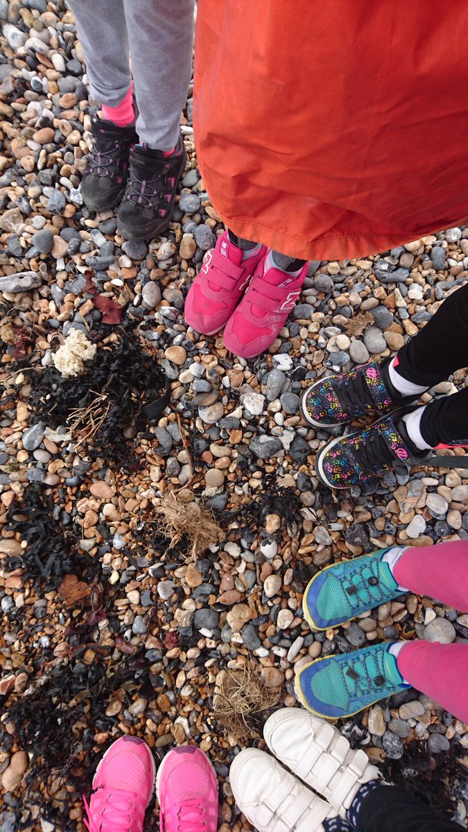 SCPS Year 4 tweet media