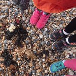 Photo by SCPS Year 4 (@Year4SCPS)