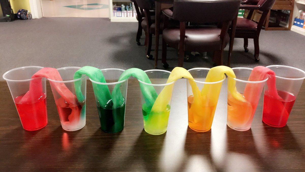CES_Roadrunners's tweet photo. PreK students observed a “walking rainbow” and learned about water molecules. 🌈 
#bcpsncmedia 
#bcpsroadrunners 
#Ignitelearningbcps https://t.co/YLQWTC63U4