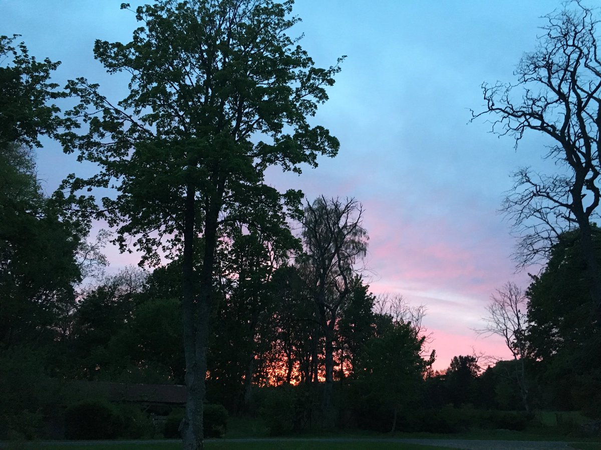 JackieAllen3's tweet photo. Ref stunning sunsets @denmcfarlane how about this one last night at my home in Inverurie #Countryside living? https://t.co/24NATfkRxz