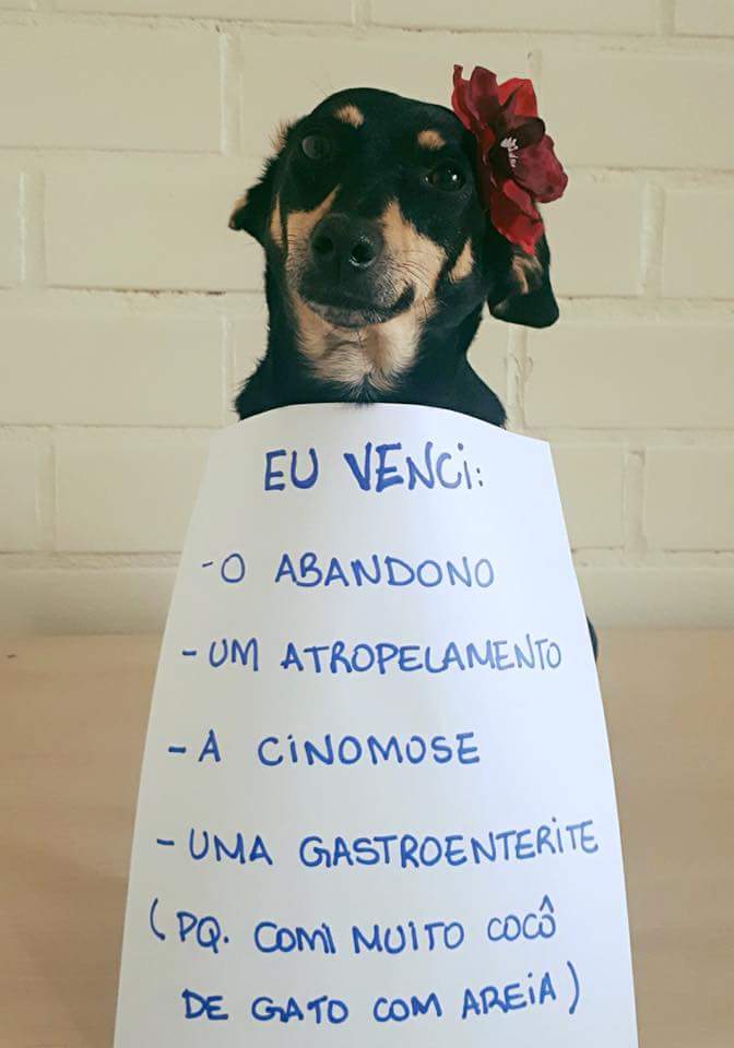 CatioroReflexiv's tweet photo. muito bem, mocínea!

crédito: Ana Pezzi https://t.co/jIS3hd3UTf