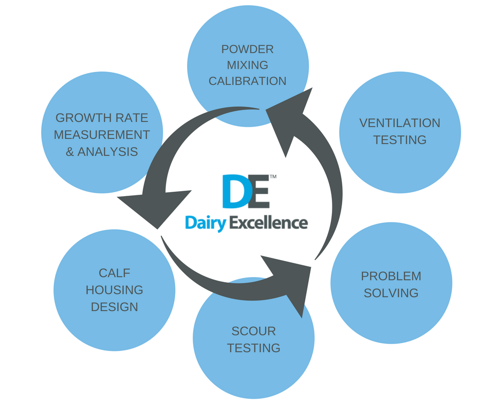 The Dairy Excellence team provide on-farm support &amp; services to farmers rearing dairy or beef calves. Call our team today for expert on-farm advice 07508 136409
#CalfRearing #TeamBeef #TeamDairy #HealthyCalves #WorkingTogether #Teamwork