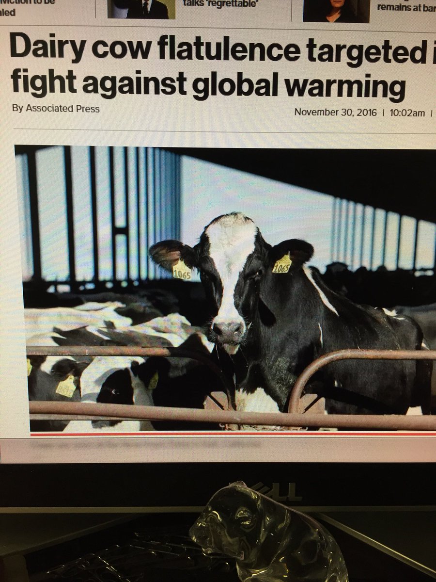 Chris51161's tweet photo. Ouch poor @TommySiriusXM getting picked on again by @stormewarren & @MCSiriusXM all in the same conversation about #CowFlatulence!!!Just remember Tommy you gotta Friend in me!!👍👍👏👏😂 https://t.co/bQe49uSwYS