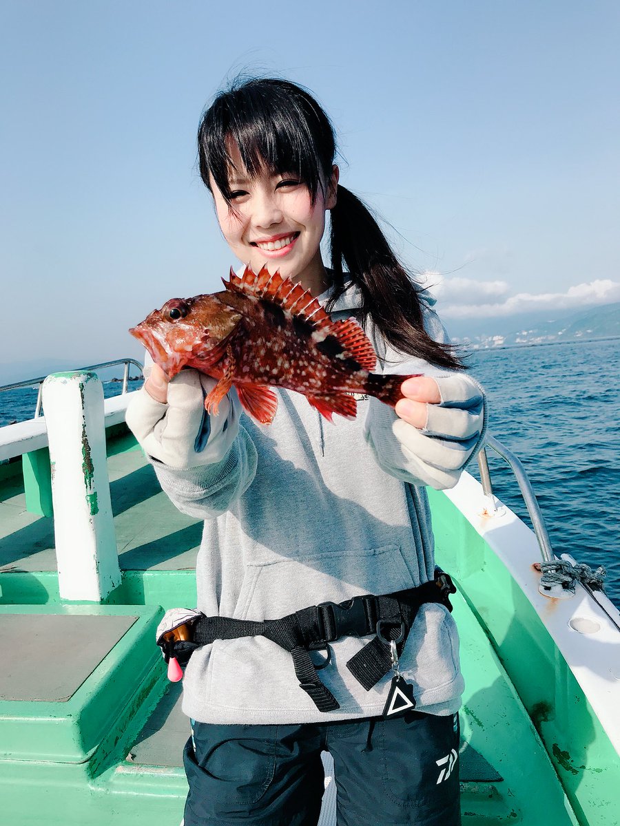 そらなさゆり 釣りが生業の人 Pa Twitter ごっちょもいろんなサイズが釣れました おちびはリリース 仕入れ完了 ロッド ダイワライトゲームx 73 Mh 190 リール ダイワスマック Pe サンライン スーパーブレイド5 8本組 1号150m エサ サバの切り身