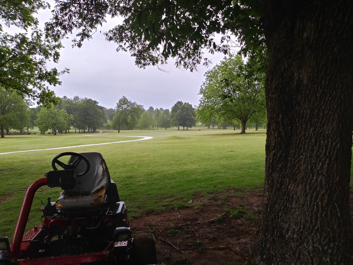 Cris_BRGG's tweet photo. Can't see it, but a good steady rainfall, much needed #naturesumbrella https://t.co/C88waE7EwU