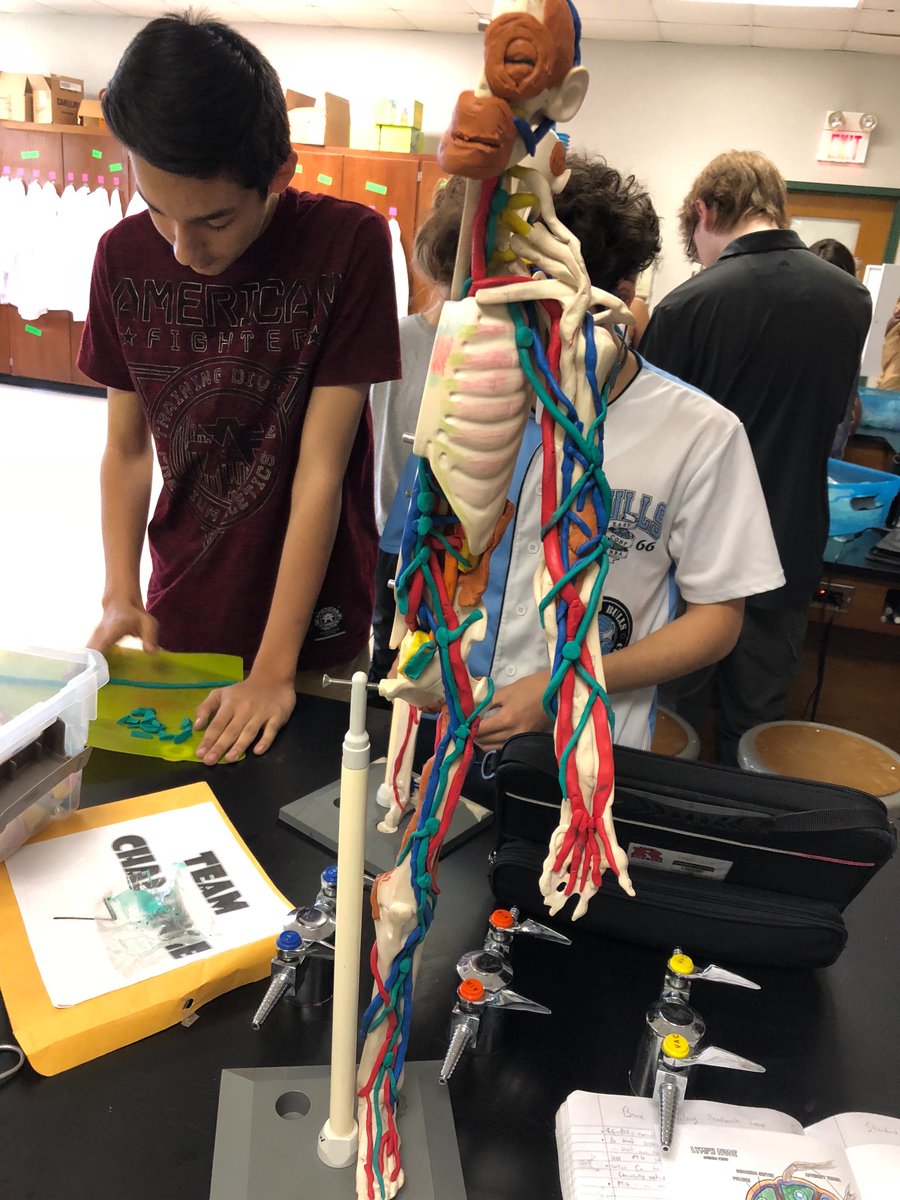 Vincent_Bio's tweet photo. #RHSBMS lymp. @Magvinicent function of lymph nodes are to filter blood to check for foreign cells and then can produce T cells which help fight infections. Assist the immune system. https://t.co/VLk3iBRWb0