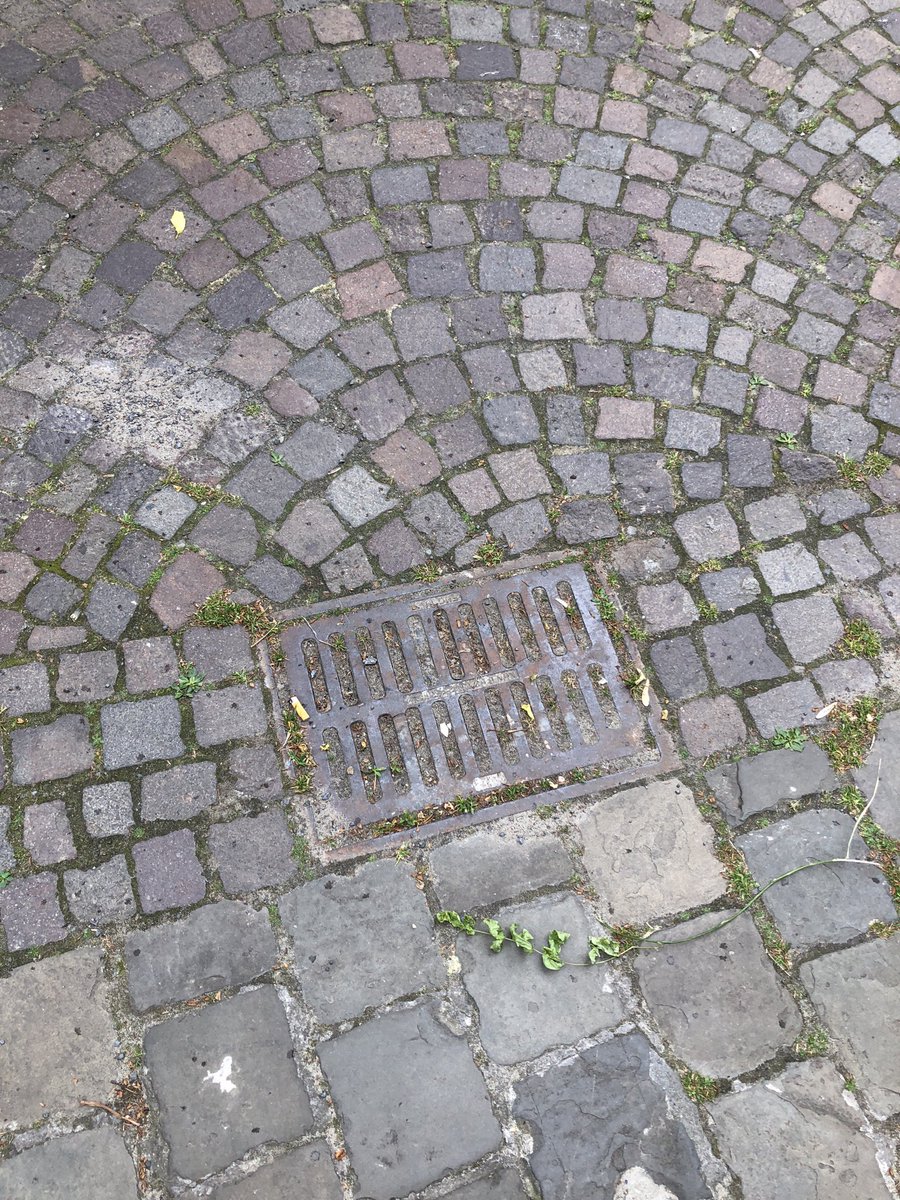 Soulplayer123's tweet photo. @Stadgent ons putje op straat is volledig verstopt. Er blijft regelmatig een grote plas water staan. Kan dit opgelost worden? 
Gewad 46 https://t.co/uZqRc3GX6L
