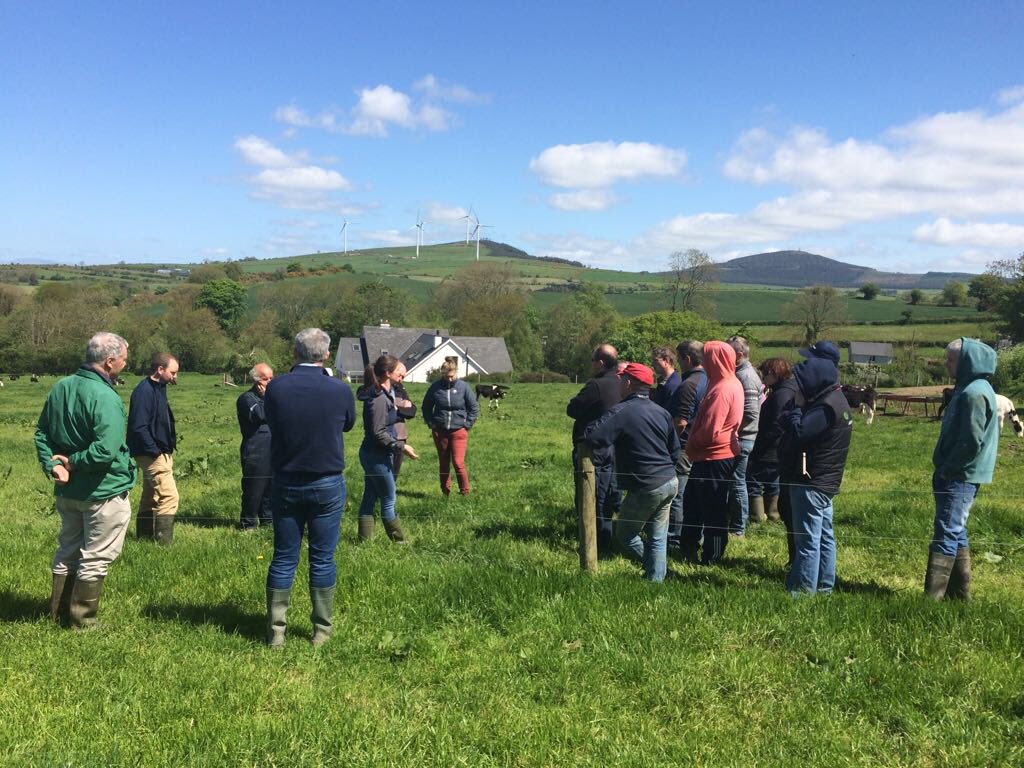TeagascBeef's tweet photo. Rob Prendiville and Orla Keane from @teagasc Grange discussing calf health and grazing management in the first year at grass at a Calf to Beef Group meeting in Wexford today #beeftechtransfer https://t.co/7fv0BLoxLa