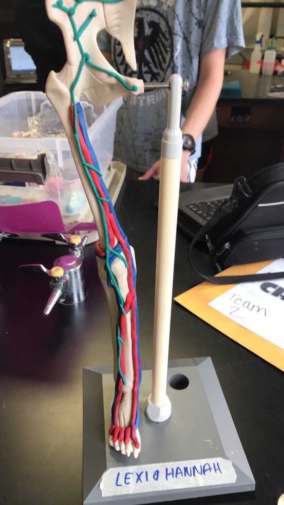 02Trotter's tweet photo. Lymph nodes filter through fluid and blood searching for disease or any type of illness. They also become inflamed when they detect an illness. @lexi_mills33 #RHSBMS https://t.co/7nnUfKYFLA