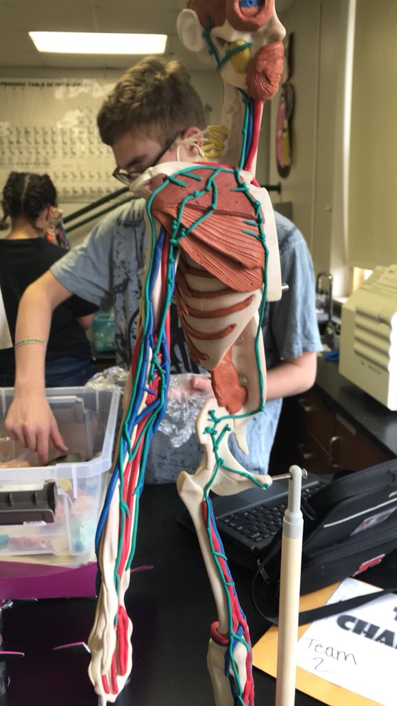 02Trotter's tweet photo. Lymph nodes filter through fluid and blood searching for disease or any type of illness. They also become inflamed when they detect an illness. @lexi_mills33 #RHSBMS https://t.co/7nnUfKYFLA