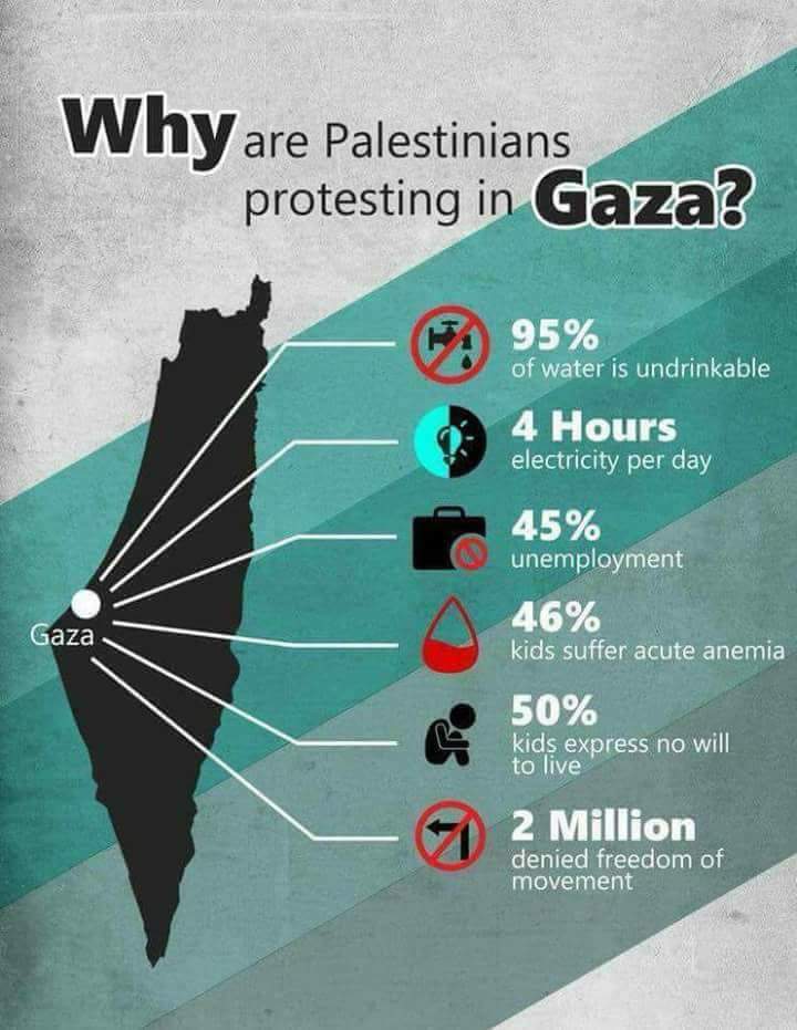 GazaSamah's tweet photo. https://t.co/nAcULFrRRh