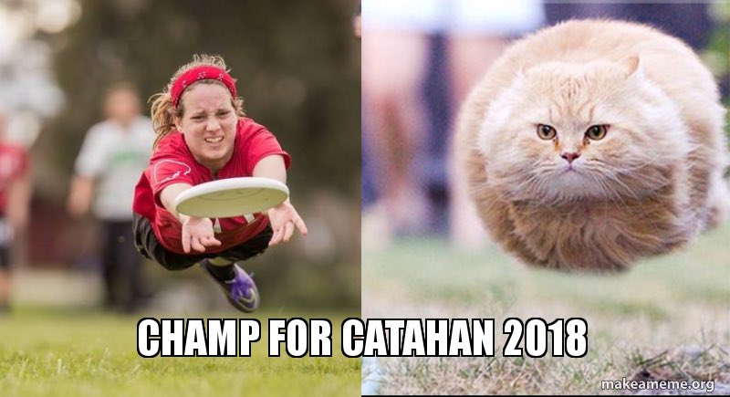 FeverUltimate's tweet photo. Seems like a worthy Callahan nominee to us! Don’t forget to vote #Catahan #Champahan https://t.co/sR1IaMW7zb
