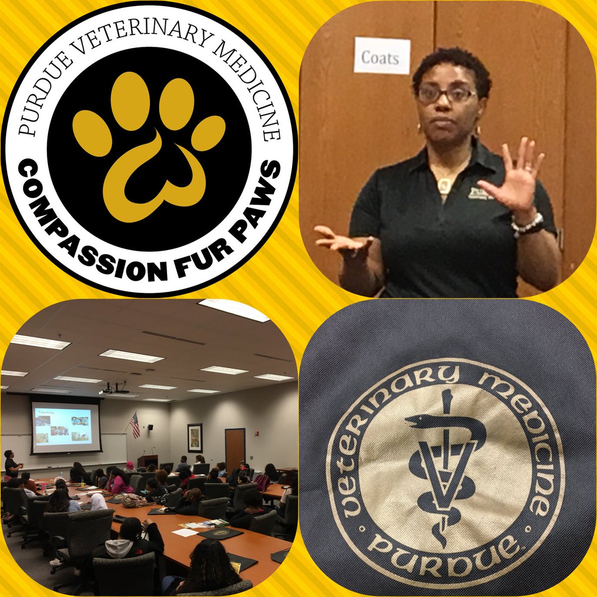 Pike_CSC's tweet photo. Thanks Dr. Jones, Professor at Purdue College of Veterinary Medicine @pucvm for joining us @Pike_CSC to speak with our Health Science students about Health/Medical Careers.  You wowed our students with your stories and your gift of Purdue swag today!  #pikeproud #iamcteindiana https://t.co/MmYZG4fZIx