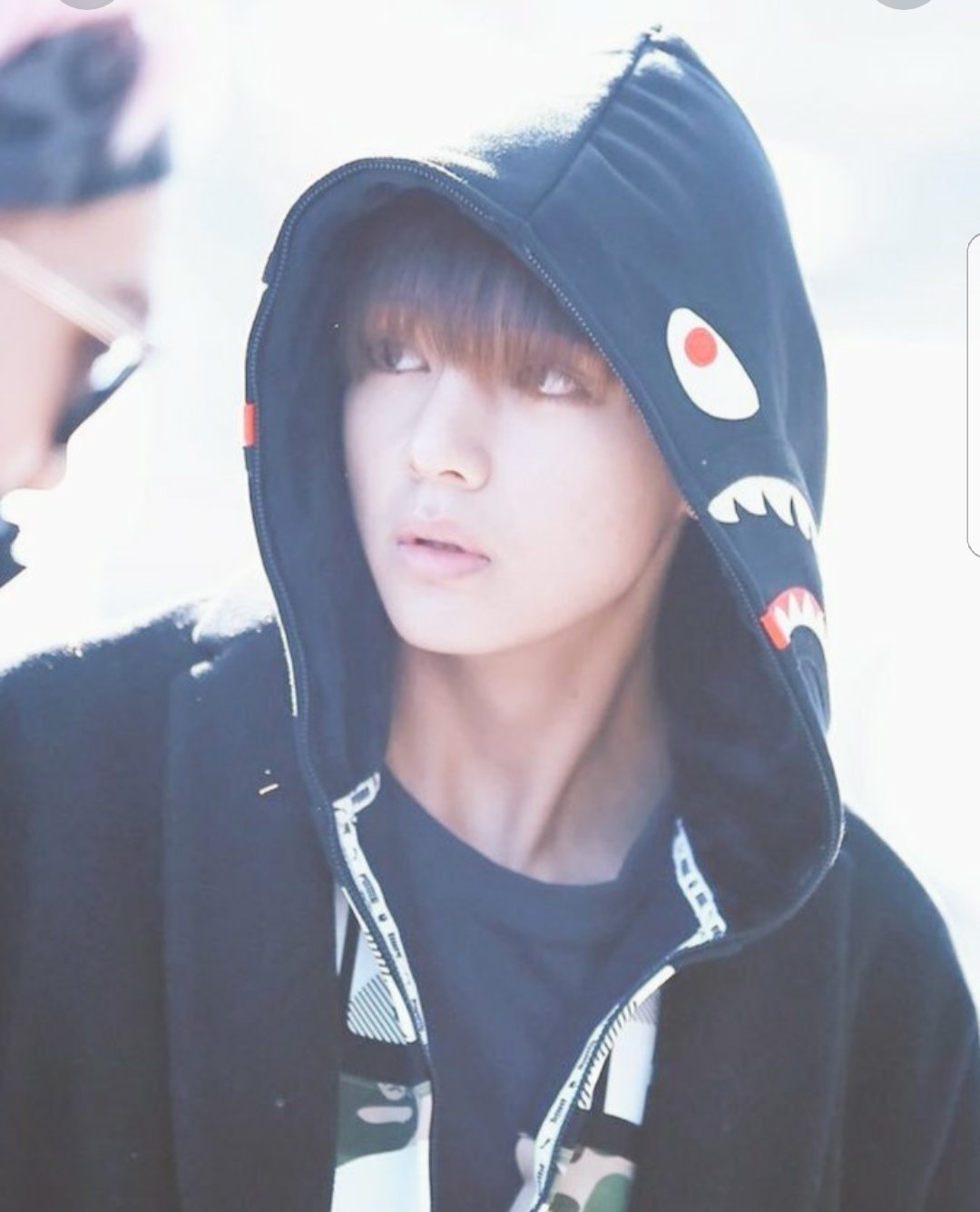 ダイゾー ナチュラル 希少サイズ bape puma シャークパーカー bts v
