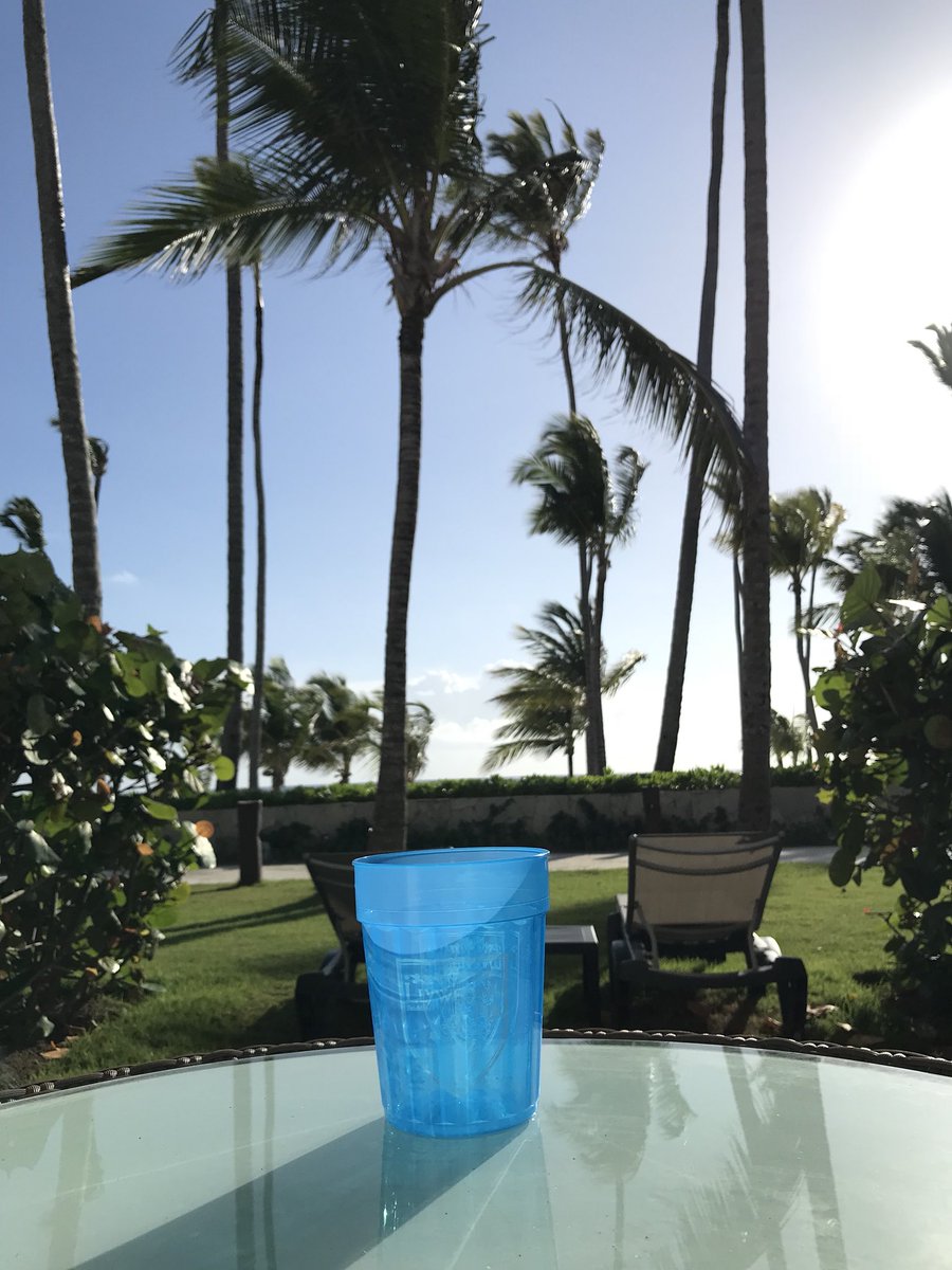 TheFatburger's tweet photo. Blue Cup had a great time in Punta Cana #llycup https://t.co/uyzth6GC46