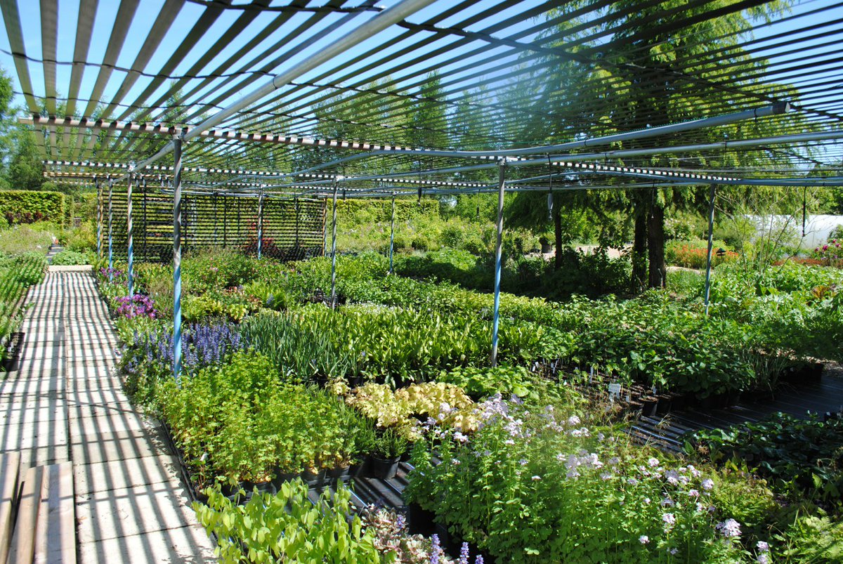 rickbabylon's tweet photo. Shade hall looking fantastic again after the crushing it took in winter. Ready for open day this Saturday. https://t.co/q1kpoM5svF